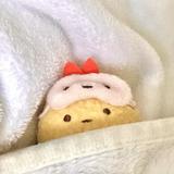 (分類:)位於 。 由 0o0o0_0 提交(商品編號 1459000384,圖片 1)。簡介: 。