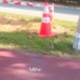 (Category: ) located in . Submitted by lol_lao_sai (Listing ID 1463017456, Image 1). Description: .
