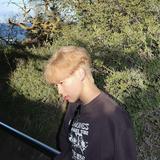 (Category: ) located in . Submitted by jle1353 (Listing ID 1439885080, Image 1). Description: .