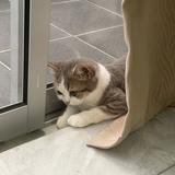 (Category: ) located in . Submitted by yen1234168 (Listing ID 1459339954, Image 1). Description: .