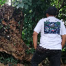 (Category: ) located in . Submitted by 94syahid (Listing ID 1458919833, Image 1). Description: .