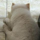 (Category: ) located in . Submitted by kylfrncblrm (Listing ID 1460088307, Image 1). Description: .