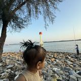(Category: ) located in . Submitted by ikaazman94 (Listing ID 1462700973, Image 1). Description: .