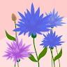 (Category: ) located in . Submitted by _viels (Listing ID 1459266577, Image 1). Description: .