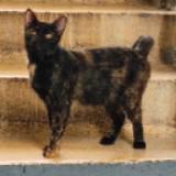 (Category: ) located in . Submitted by bianxin (Listing ID 1459387141, Image 1). Description: .