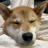 (分類:)位於 。 由 tsz.yyy1016 提交(商品編號 1459330560,圖片 1)。簡介: 。