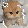 (Category: ) located in . Submitted by yahyusofff (Listing ID 1459638684, Image 1). Description: .