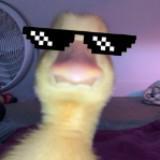 (分類:)位於 。 由 quackamoly 提交(商品編號 1459580680,圖片 1)。簡介: 。