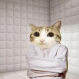 (分類:)位於 。 由 01361 提交(商品編號 1461686423,圖片 1)。簡介: 。