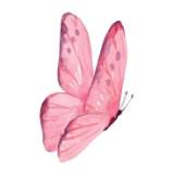 (Category: ) located in . Submitted by carefreegarments3 (Listing ID 1463942102, Image 1). Description: .