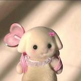 由 minaaa_. (刊登 ID 1459836435,圖片 1) 提交,位於 的 (類別:),說明:。