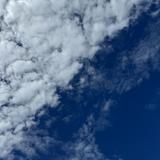 (Category: ) located in . Submitted by new.clothie (Listing ID 1459839183, Image 1). Description: .