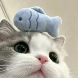由 momo170 (刊登 ID 1459734514,圖片 1) 提交,位於 的 (類別:),說明:。