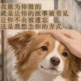 頭像