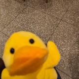 (Category: ) located in . Submitted by nico_hehe (Listing ID 1462717088, Image 1). Description: .