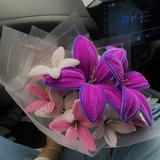 (Category: ) located in . Submitted by nayliee.nw (Listing ID 1460002212, Image 1). Description: .