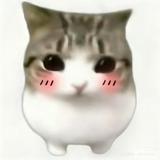 (分類:)位於 。 由 belibala_2713 提交(商品編號 1461726242,圖片 1)。簡介: 。