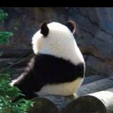 (分類:)位於 。 由 theodad 提交(商品編號 1466580124,圖片 1)。簡介: 。
