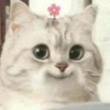 (Category: ) located in . Submitted by noomoroll (Listing ID 1462930025, Image 1). Description: .