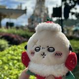 (分類:)位於 。 由 rakko.store 提交(商品編號 1460318026,圖片 1)。簡介: 。