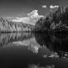 (Category: ) located in . Submitted by husn4 (Listing ID 1460353195, Image 1). Description: .