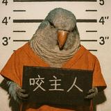 (分類:)位於 。 由 jack4realhk 提交(商品編號 1460676972,圖片 1)。簡介: 。