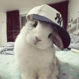 頭像