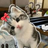 (Category: ) located in . Submitted by candy_unknown6 (Listing ID 1463620122, Image 1). Description: .
