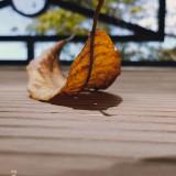 (Category: ) located in . Submitted by clover2626 (Listing ID 1460723587, Image 1). Description: .
