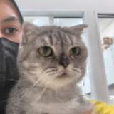 (Category: ) located in . Submitted by bunhee.am (Listing ID 1468564179, Image 1). Description: .