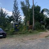 (Category: ) located in . Submitted by aerithbeme (Listing ID 1460891019, Image 1). Description: .