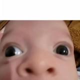 (Category: ) located in . Submitted by buldakgemok2 (Listing ID 1463374619, Image 1). Description: .