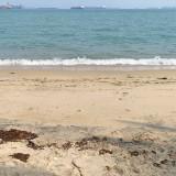 (Category: ) located in . Submitted by zenocean-4116 (Listing ID 1461411501, Image 1). Description: .