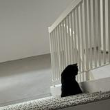 (Category: ) located in . Submitted by meowmeow31 (Listing ID 1469424694, Image 1). Description: .