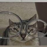 (Category: ) located in . Submitted by art997 (Listing ID 1463237659, Image 1). Description: .