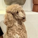 (分類:)位於 。 由 nnathan_lam 提交(商品編號 1461250341,圖片 1)。簡介: 。