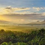 (Category: ) located in . Submitted by pureforest.a17ebe (Listing ID 1464824997, Image 1). Description: .