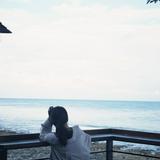 由 zzzhyl (刊登 ID 1463878639,圖片 1) 提交,位於 的 (類別:),說明:。