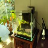 (Category: ) located in . Submitted by kiwifrozen (Listing ID 1307611516, Image 1). Description: .
