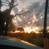 (Category: ) located in . Submitted by andybayotik21 (Listing ID 1461436037, Image 1). Description: .