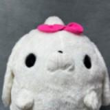 (Category: ) located in . Submitted by aacollect.ph (Listing ID 1461568776, Image 1). Description: .