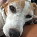 (分類:)位於 。 由 bigbaddog 提交(商品編號 1461090380,圖片 1)。簡介: 。