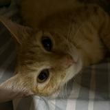(Category: ) located in . Submitted by herman.cold (Listing ID 1464042188, Image 1). Description: .
