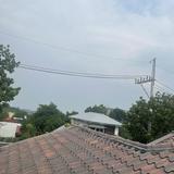 (Category: ) located in . Submitted by justethanol (Listing ID 1456526116, Image 1). Description: .