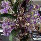 (Category: ) located in . Submitted by wiseflower.5d27e8 (Listing ID 1468142344, Image 1). Description: .