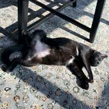 (Category: ) located in . Submitted by flwwrr_ (Listing ID 1461860481, Image 1). Description: .