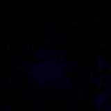 (Category: ) located in . Submitted by nugelly (Listing ID 1462919297, Image 1). Description: .