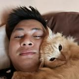 (Category: ) located in . Submitted by keanuchedi94156 (Listing ID 1465099923, Image 1). Description: .
