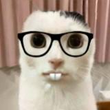 頭像