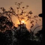 (Category: ) located in . Submitted by emmararar (Listing ID 1462538174, Image 1). Description: .